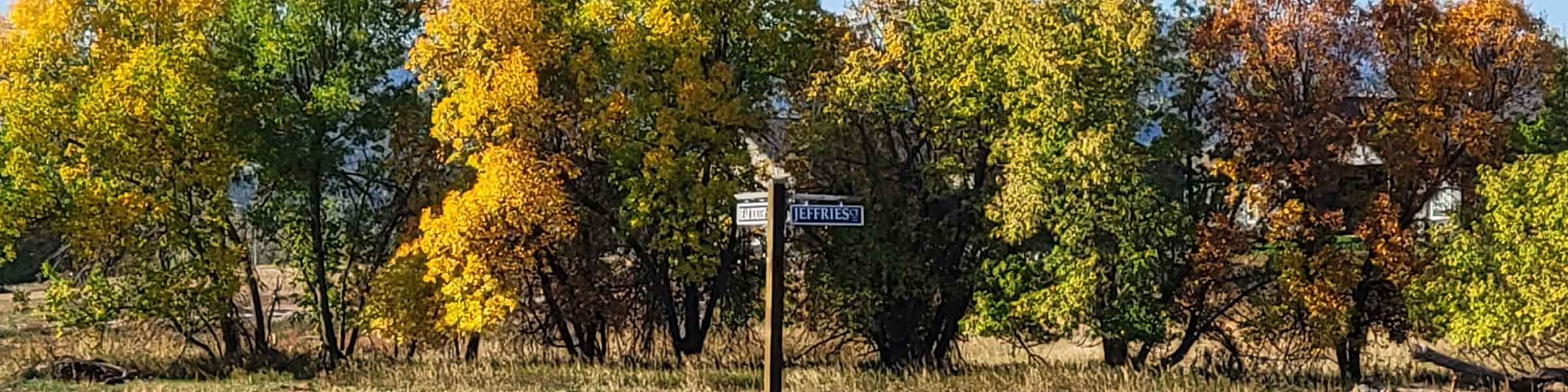 treeline with sign